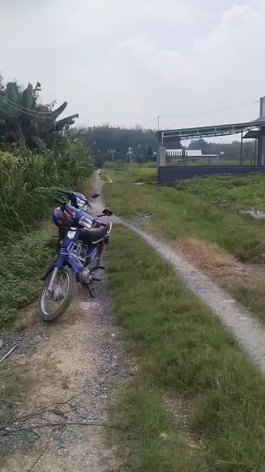 Đất nền Kp Lộc Hòa, Trảng Bàng 175m² giá chỉ 390 triệu - Cơ hội đầu tư hấp dẫn!