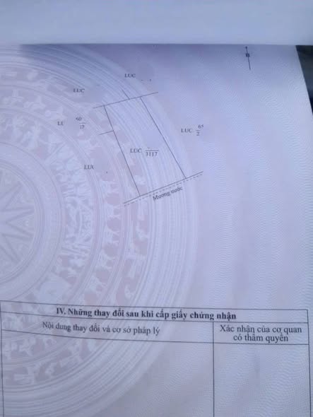 Đất nền Long Sơn, Tân Châu 3117m² giá chỉ 200 triệu - Cơ hội đầu tư hấp dẫn!