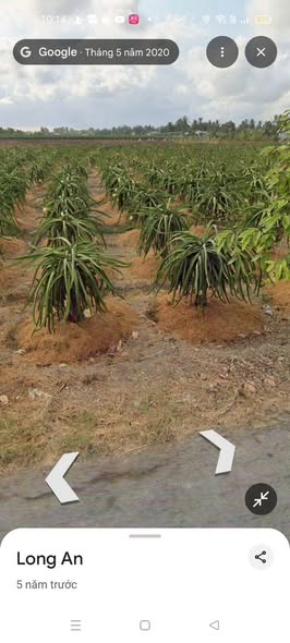 Đất thổ cư tại Tân Trụ, Long An 1000m² giá 2 tỷ - Đầu tư sinh lời ngay!