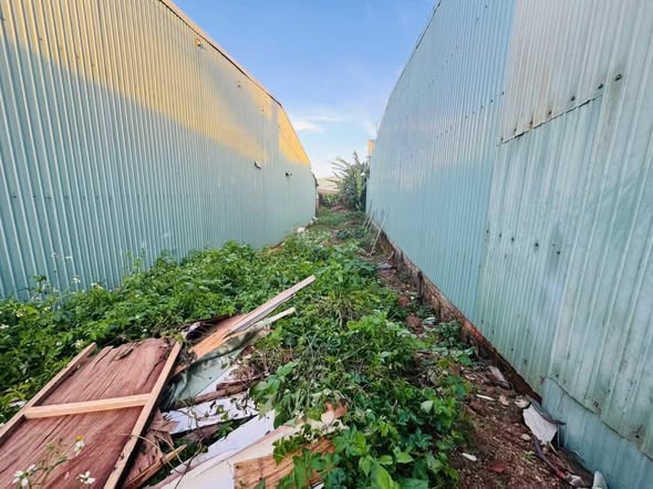 Đất nền Phù Đổng Pleiku 89m² giá 1.3 tỷ - Đường thông ô tô, chính chủ bán!