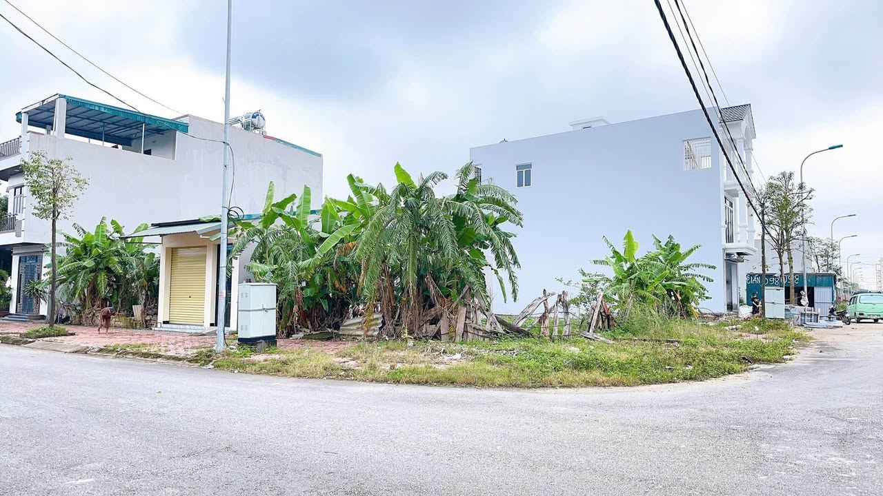 Đất nền Quảng Thành 116.8m² giá 6.6 tỷ - Đầu tư sinh lời ngay tại trung tâm!