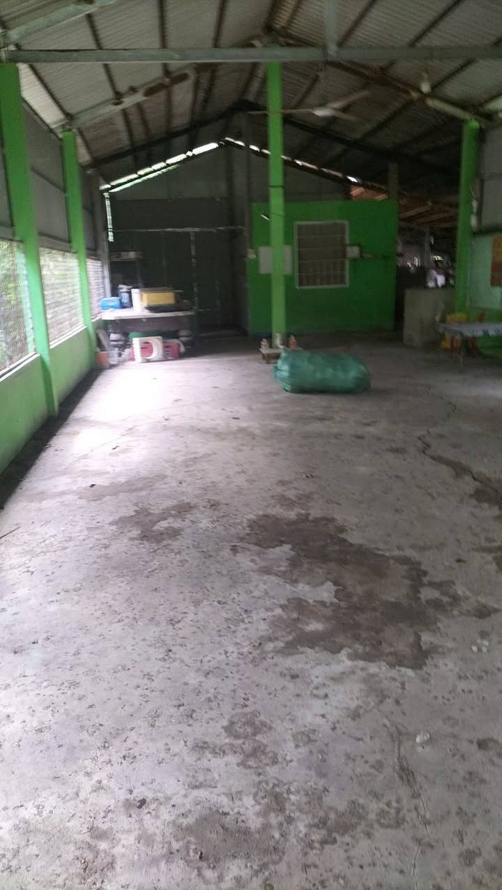 Đất nền Nhựa Dừa Đỏ, Nhị Long Phú 225m² chỉ 250 triệu - Cơ hội đầu tư sinh lời!