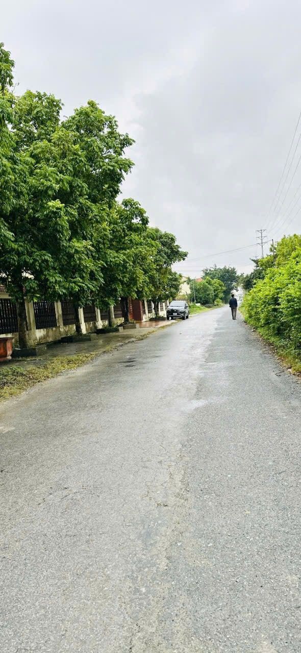 Đất nền Khánh Cư Yên Khánh 115m² - Giá đầu tư hấp dẫn!