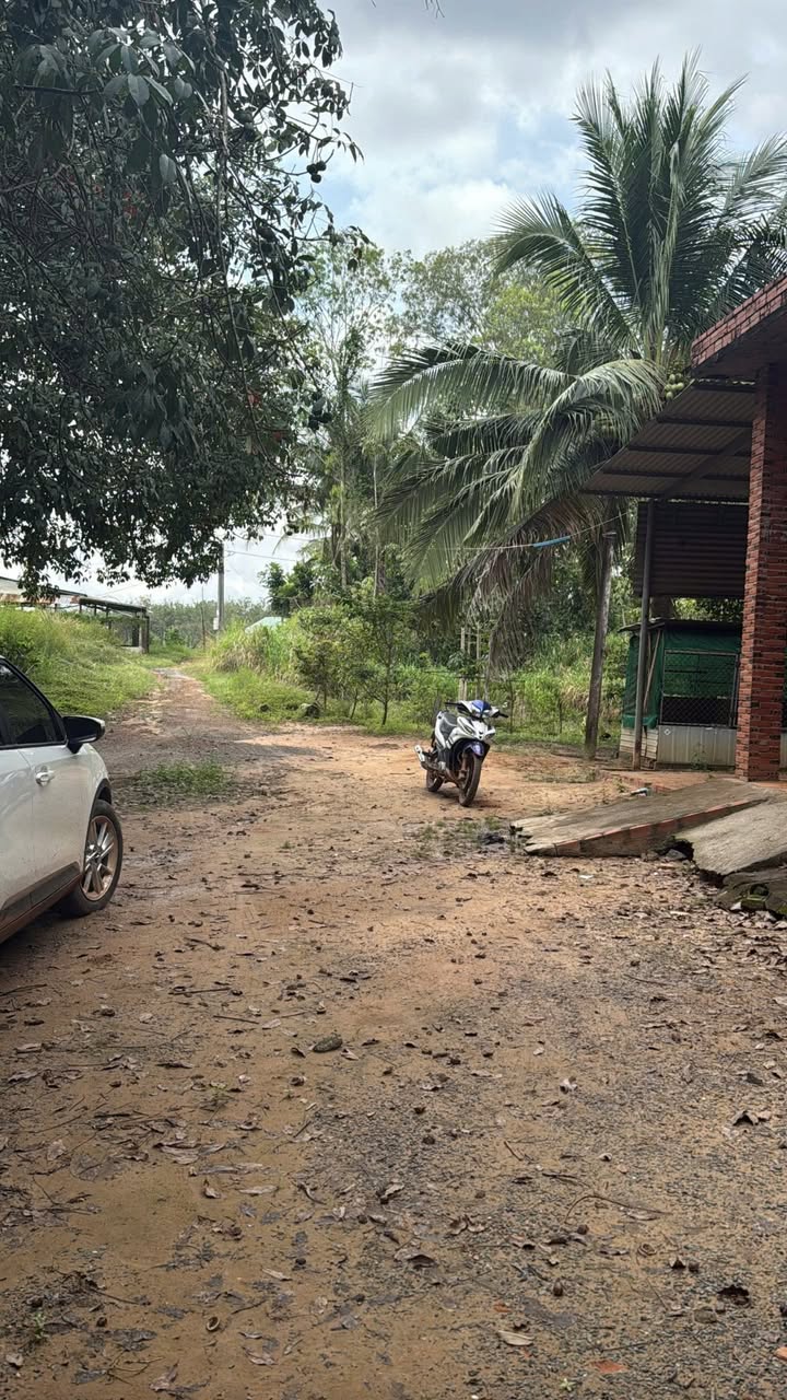 Đất Farm 1 Mẫu Tại Trà Vong, Tân Biên, Tây Ninh - Thích hợp nghỉ dưỡng!