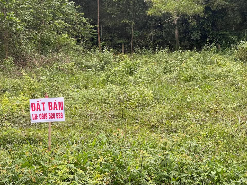 Đất chính chủ 328m² tại Thanh An, Dầu Tiếng, giá 1.78 tỷ - Đầu tư sinh lời ngay!