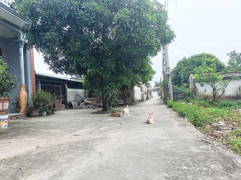 Đất nền Đông Hoàng - Tiền Hải 97m² giá thỏa thuận - Cơ hội đầu tư tuyệt vời!