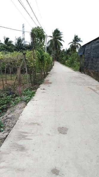 Đất nền liền kề Tân Hội 150m² giá chỉ 550 triệu - Đầu tư sinh lời ngay!