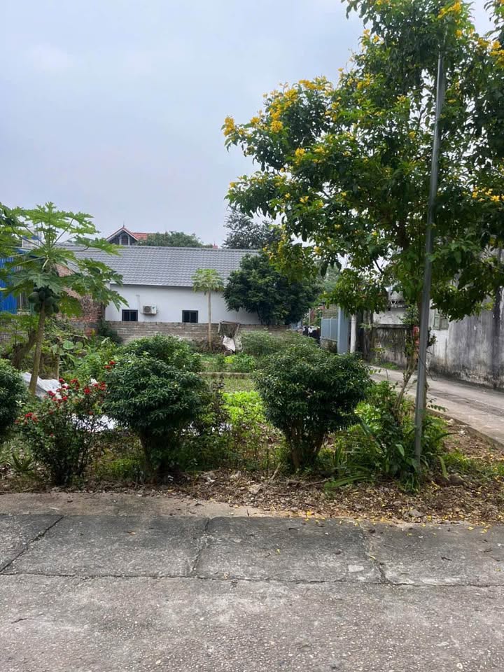 Đất lô góc phường Sơn Tây, Hà Nội 52.8m² chỉ 1 tỷ - Đường ô tô đỗ cửa!