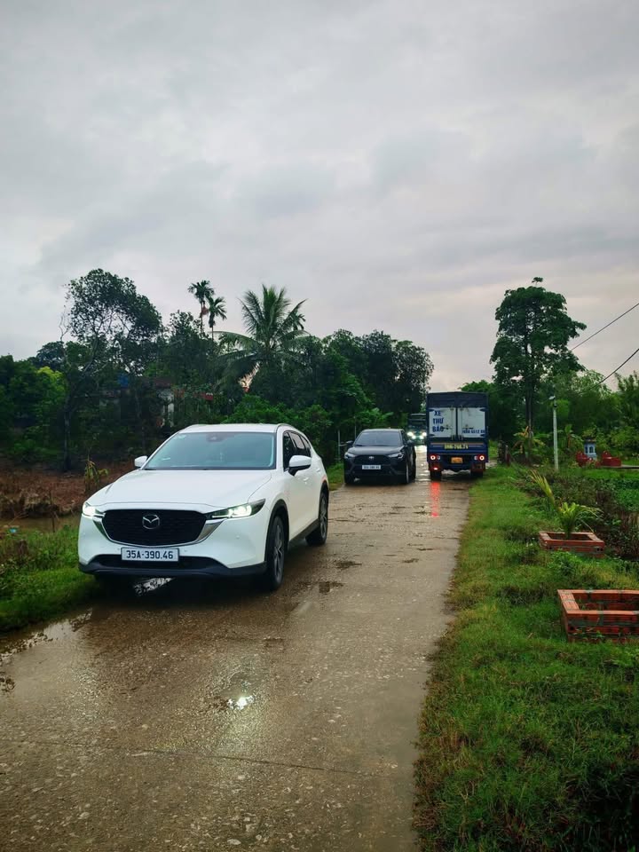 Đất thổ cư Gia Lâm 250m² giá 600 triệu - Cơ hội đầu tư tuyệt vời!