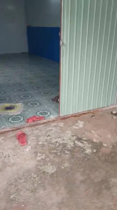 Nhà cho thuê tại Tân Kim, Cần Giuộc 1PN giá chỉ 2 triệu - Không thể bỏ lỡ!