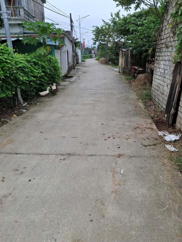 Đất nền mặt đường Thanh Phong, Thanh Liêm, 140m² giá 1.6 tỷ - Sổ đỏ trao tay!