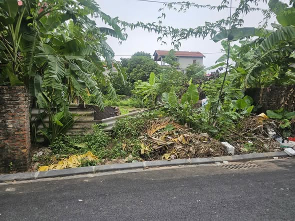 Đất thổ cư 213m² thôn Sáp Mai, Đông Anh - Giá chỉ 63 triệu/m²