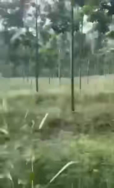 Đất nền An Bình, Phú Giáo 15.370m² giá 8.5 tỷ - Đầu tư sinh lời tốt!