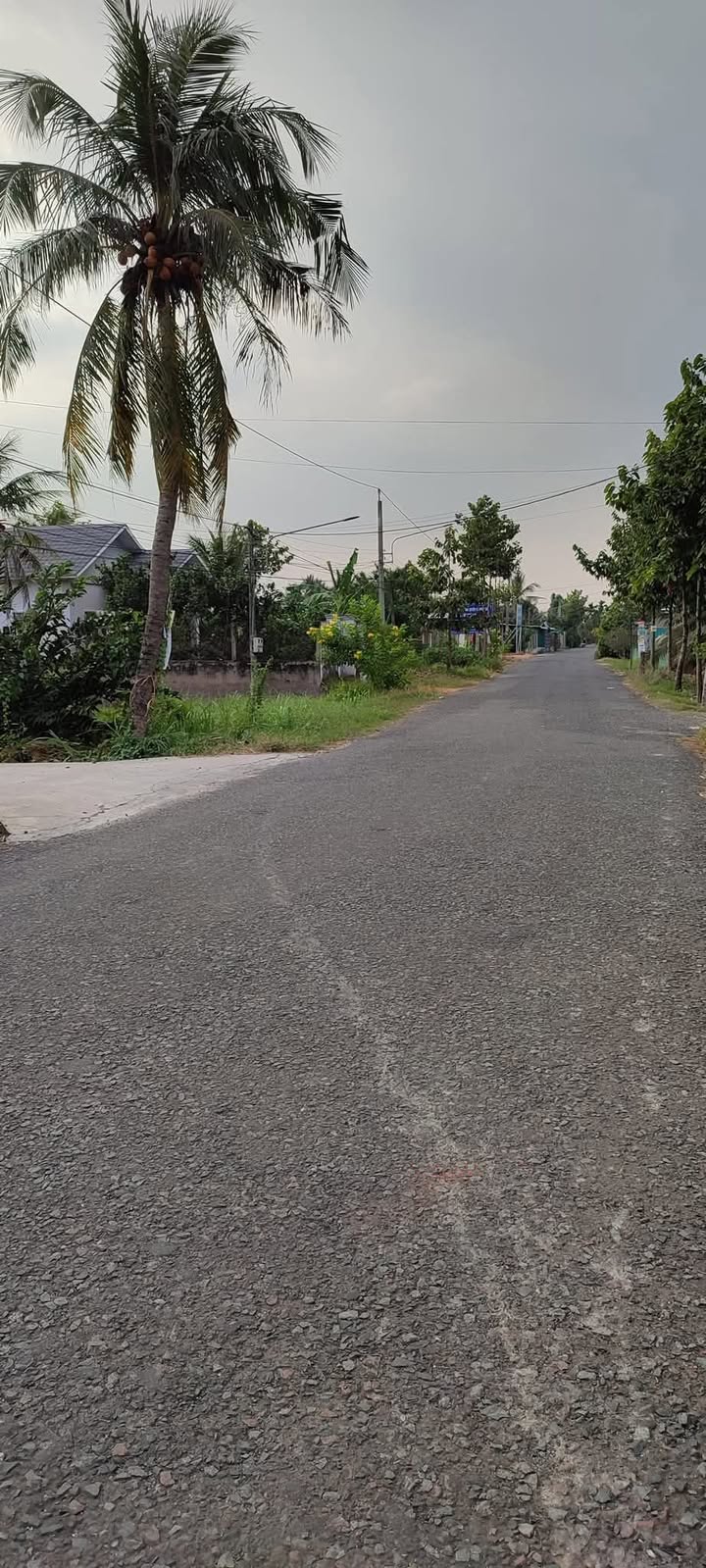 Đất mặt tiền đường Lộ Làng, phường Mỹ Phong 307.25m² giá chỉ 2 tỷ - Cơ hội đầu tư hấp dẫn!