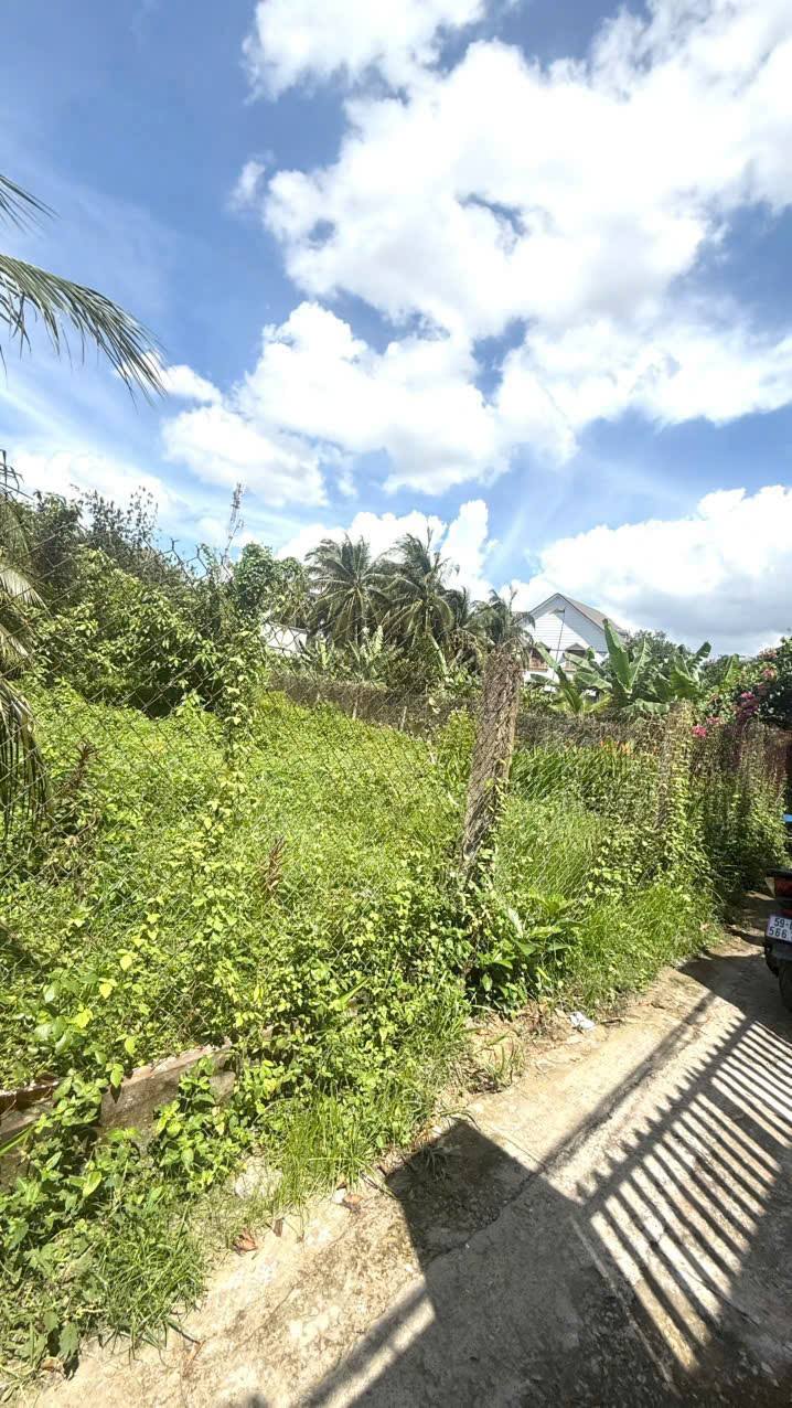 Đất nền Nguyễn Công Bình Mỹ Tho 320m² giá 2.16 tỷ - Đường thông, gần trung tâm!