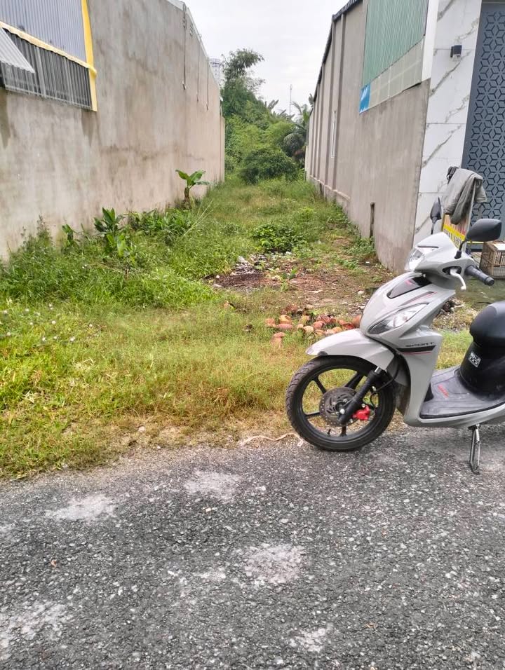 Đất thổ cư Bàu Năng Dương Minh Châu 185m² giá 710 triệu - Cơ hội đầu tư hấp dẫn!