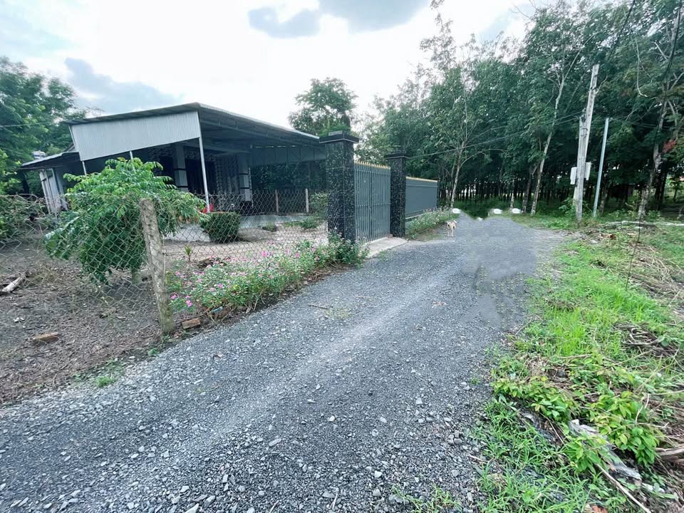 Đất thổ cư Thanh Điền, Châu Thành, Tây Ninh 60m² giá 170 triệu - Đường thông khu dân cư