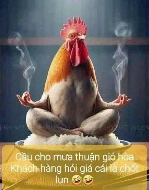 Đất nền Nguyễn Tất Thành, Pleiku 444m² giá 4.387 tỷ - Tiềm năng tăng giá mạnh!