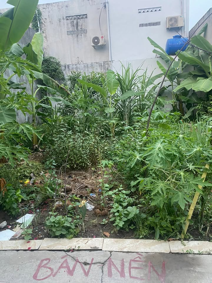 Đất thổ cư 40m² tại Bình Chánh, Cần Thơ chỉ 800 triệu - Đầu tư ngay!