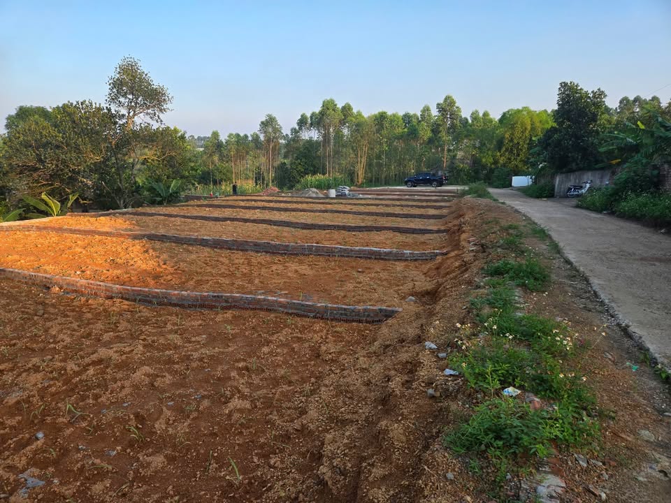 Đất nền nở hậu 150m² tại xã Chu Hóa, giá chỉ 700 triệu - Cơ hội đầu tư tuyệt vời!