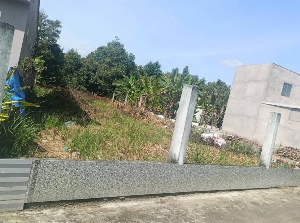 Đất nền Tân Thới, Phong Điền 300m² giá 1.1 tỷ - View sông tuyệt đẹp!