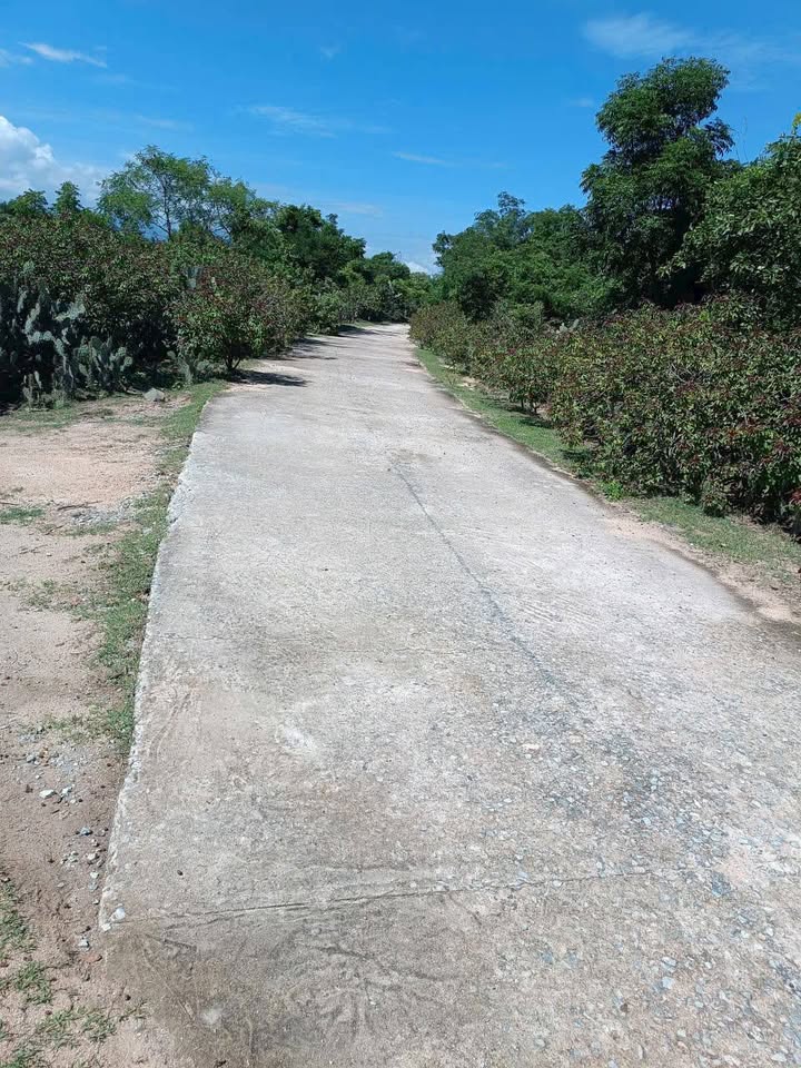 Đất Farm 100000m² tại Xã Phước Hữu, Khánh Hòa - Chỉ 5 tỷ!