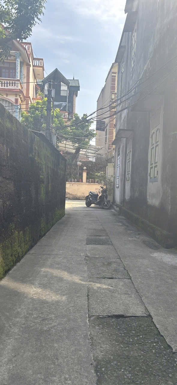 Đất nền Dương Đanh, Gia Lâm 80.6m² - Đường ô tô vào tận nơi, phong thủy tốt!