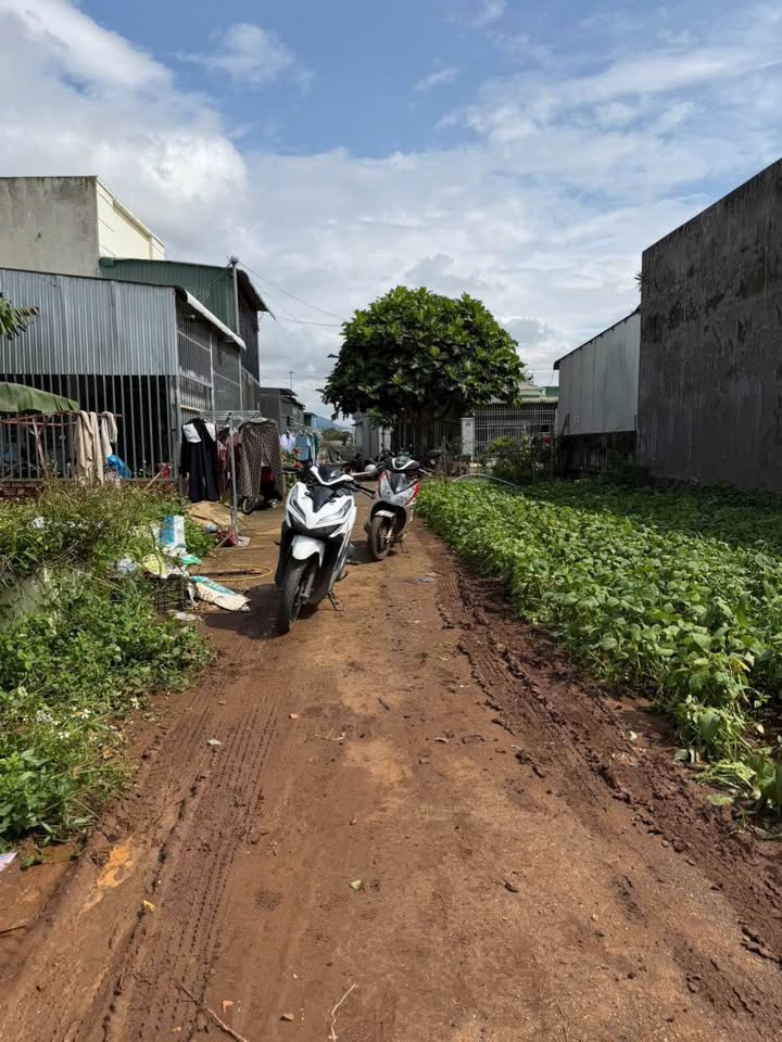 Đất nền Liên Nghĩa, Đức Trọng - 100m² thổ cư chỉ 1.25 tỷ - Hẻm xe hơi thuận tiện!