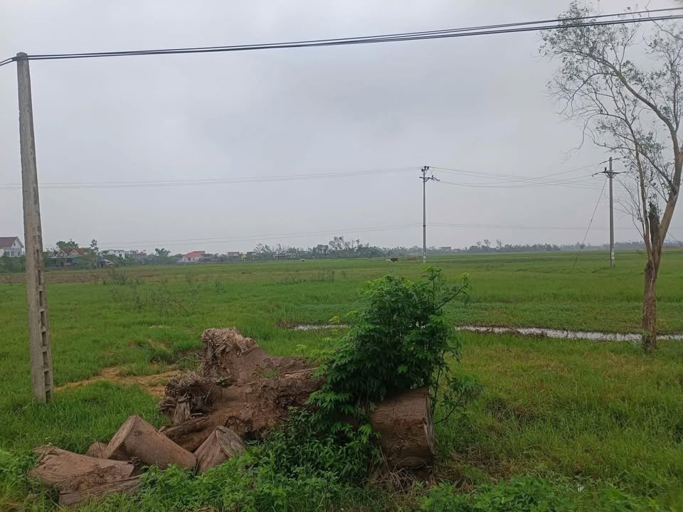 FrontHouse mặt tiền Xuân Viên 125m² giá 2,5 tỷ - Đầu tư lý tưởng!