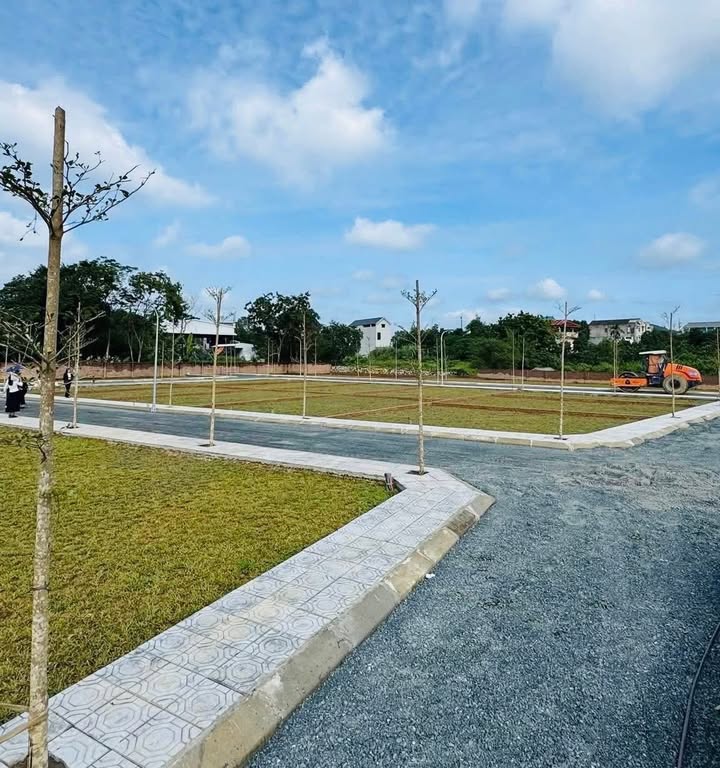 Đất nền Cầu Vai Réo – Hòa Lạc 100m² chỉ 3 tỷ - Sổ đỏ chính chủ, đầu tư sinh lời!