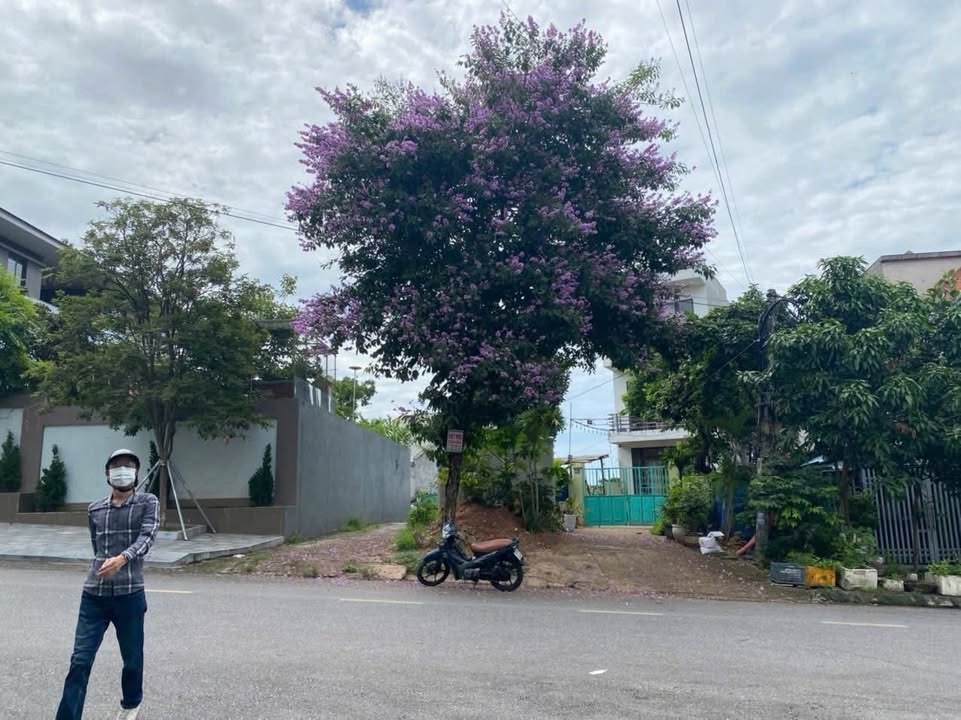 Đất nền Hạ Long Vân Đồn 90m² giá 3 tỷ - Ô tô đỗ cửa