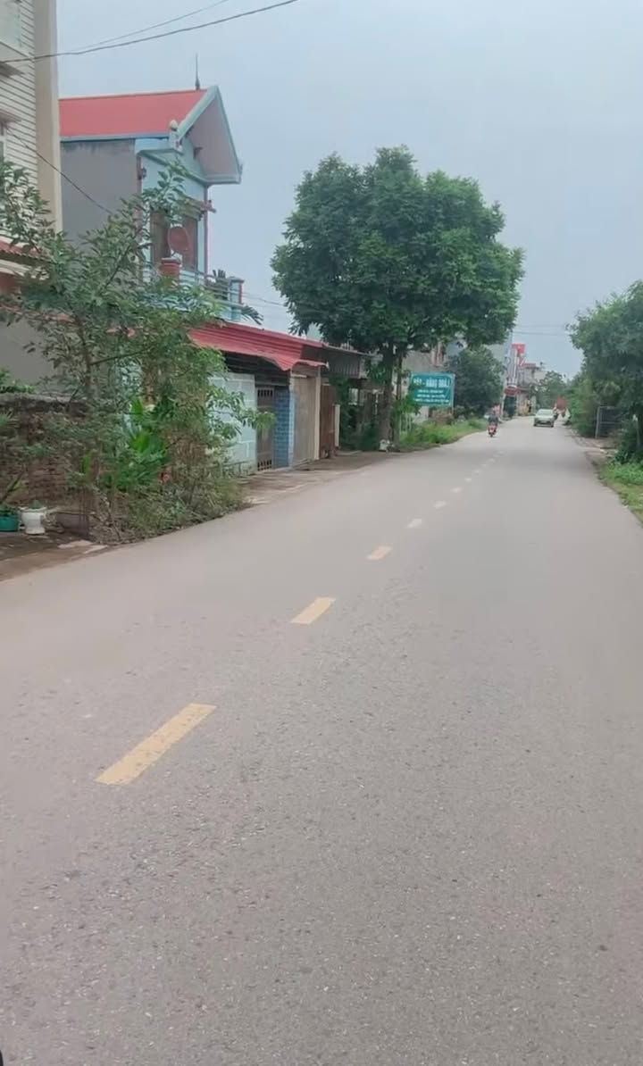 Đất nền kinh doanh tại Chu Điện, Lục Nam 116m² giá 1.4 tỷ - Đầu tư sinh lời ngay!