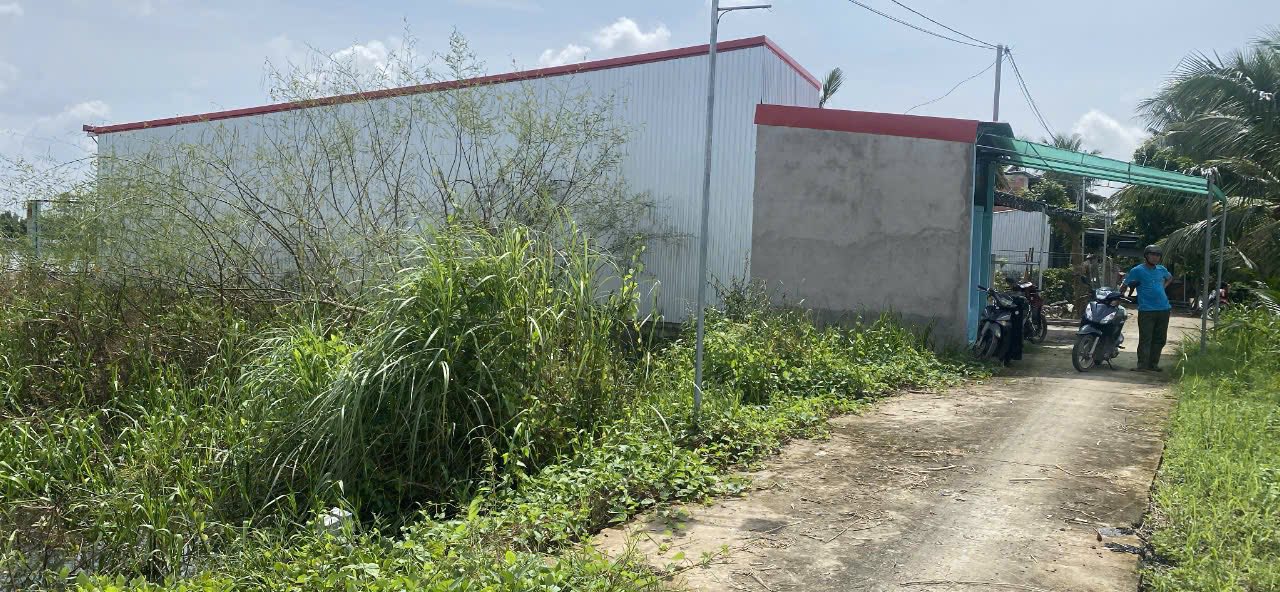 Đất nền Đông Hiệp Cần Thơ 80m² giá 290 triệu - Vị trí tiềm năng sinh lời!