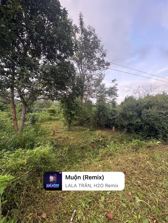 Đất nền Ea Hồ 300m² giá 250 triệu - Chính chủ cần bán gấp!