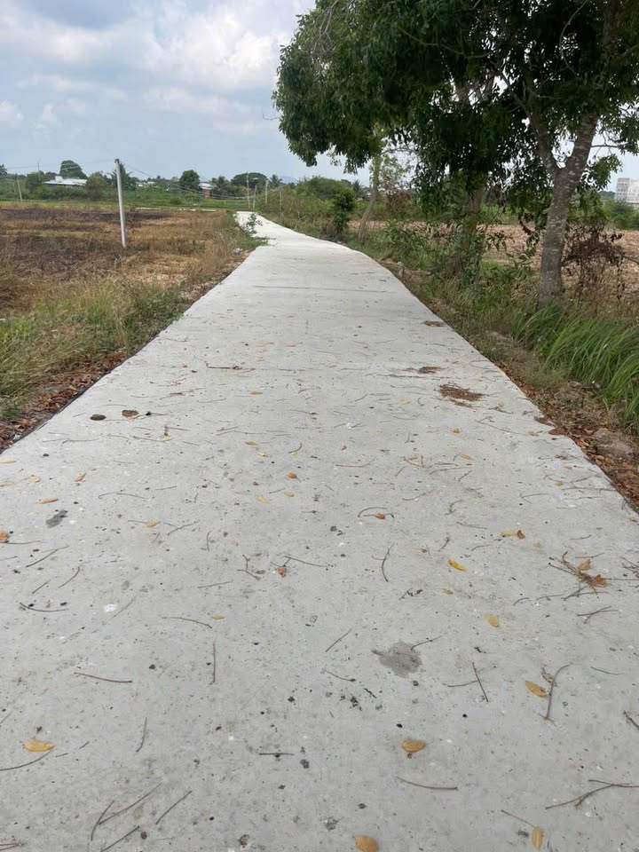 Đất thổ cư 360m² tại Hàm Liêm, Bình Thuận - Giá chỉ 559 triệu!