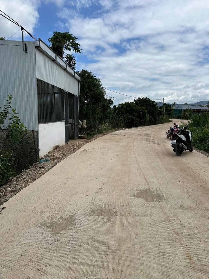 Đất nền Liên Hiệp, Đức Trọng 480m² giá 3 tỷ - Sổ đỏ chính chủ, đầu tư sinh lời!