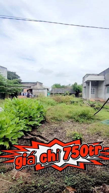 Đất thổ cư Nhựt Chánh Bến Lức 120m² giá chỉ 750 triệu - Cơ hội đầu tư tuyệt vời!