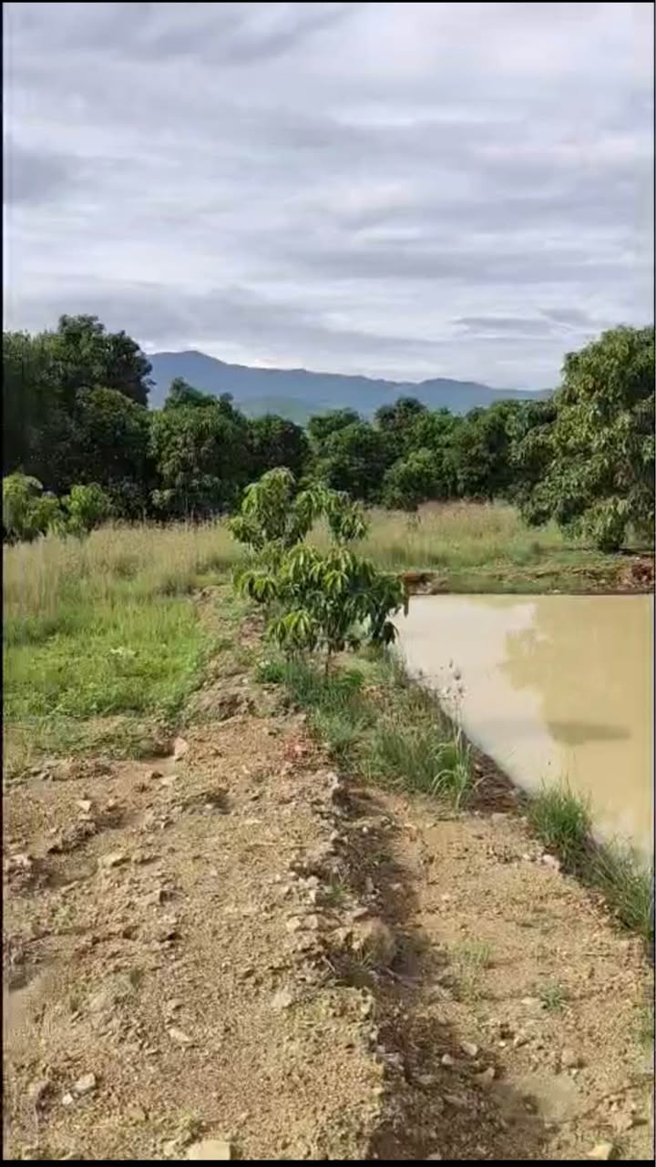 Đất vườn Diên Lâm 10.800m² giá 1.29 tỷ - Tiềm năng phát triển lớn!