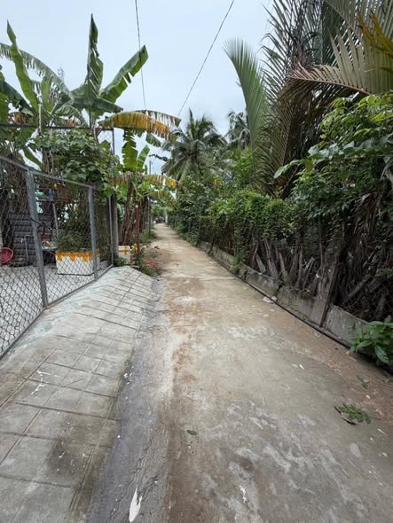 Đất nền Phú Khương 110m² giá 520 triệu - Vị trí đẹp gần bách hóa xanh!