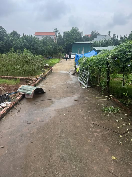 Đất nền Hát Môn, Phúc Thọ 100m² giá 2 tỷ - Cơ hội đầu tư hấp dẫn!