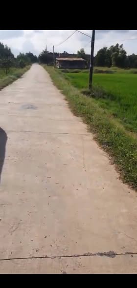 Đất nền mặt tiền đường Bê Tông xã Bình Thanh, Đức Huệ - 1950m² giá 4.5 tỷ