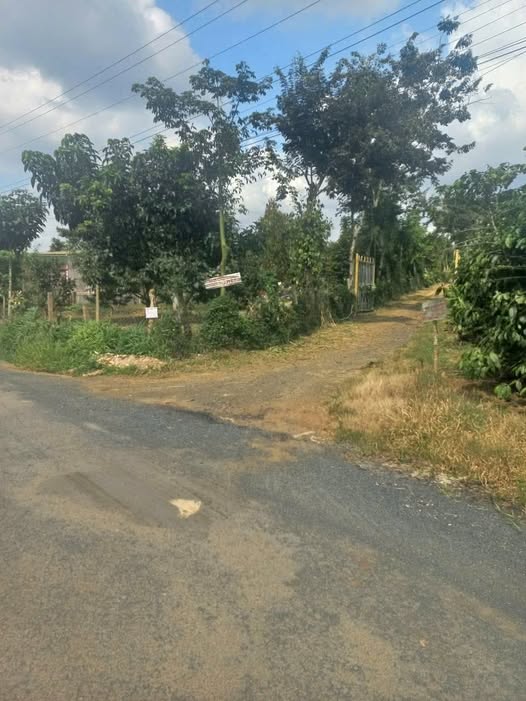 Đất nền Lộc Đức 1000m² giá 1.3 tỷ - Cơ hội đầu tư tuyệt vời!