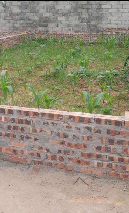 Đất nền đường Hà Huy Tập, Phù Đổng 40m² giá 4 tỷ - Vị trí đắc địa, tiện ích đầy đủ!