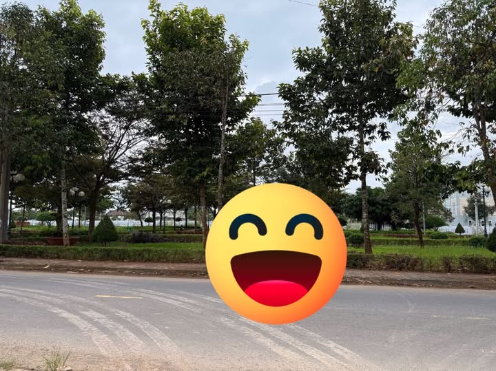 Đất nền Tân Phú 165m² giá 2.1 tỷ - Gần khu công nghiệp, tiện ích đầy đủ!