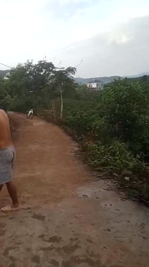 Đất vườn Tân Lập Lục Ngạn 6000m² giá 1.1 tỷ - Đầu tư lý tưởng cho nghỉ dưỡng!