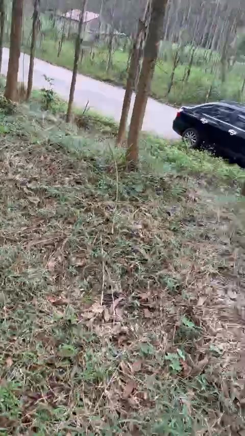 Đất nông nghiệp Lục Sơn 13,000m² giá thỏa thuận - Phù hợp cho xưởng, trang trại!