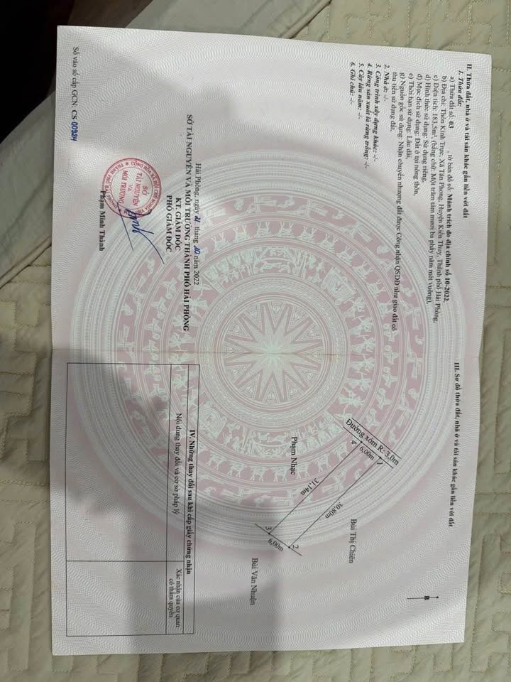 Đất nền Tân Phong Kiến Thụy 183.5m² giá 1 tỷ - Mặt tiền thoáng mát, dân cư đông đúc!