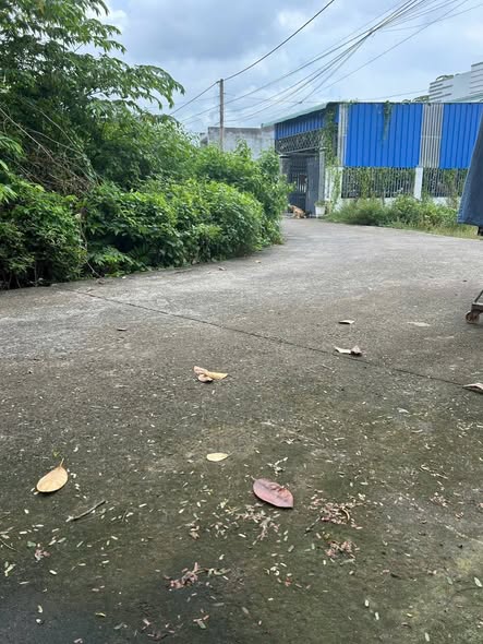 Đất nền Phước Hội 384m² giá 2 tỷ - Đầu tư sinh lời tại Bà Rịa - Vũng Tàu!