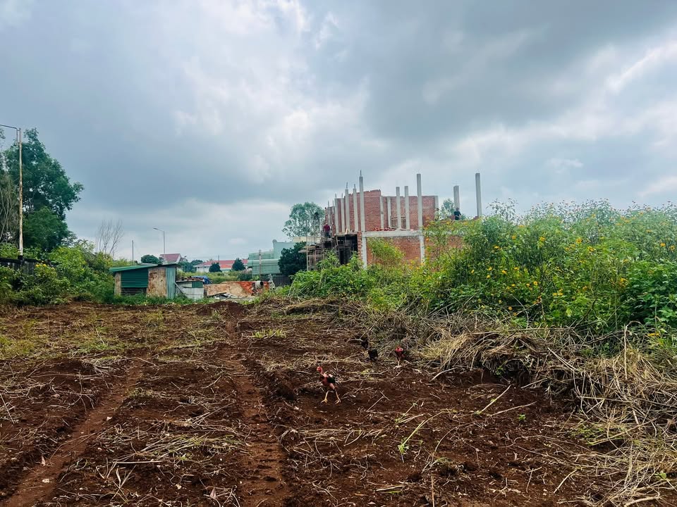 Đất thổ cư 280m² Hẻm 274 Lê Duẩn - Gần Bệnh viện HAGL, giá thỏa thuận!