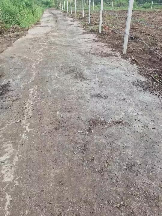 Đất nền 1777m² tại xã Bàu Hàm, Đồng Nai - Giá chỉ 1.4 tỷ, bớt lộc cho khách hàng!